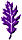 Purple Oak